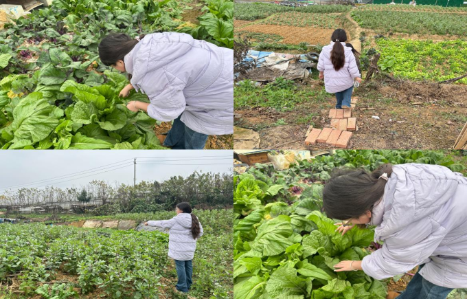 图片2.png 图片2.png